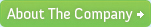 About The Company